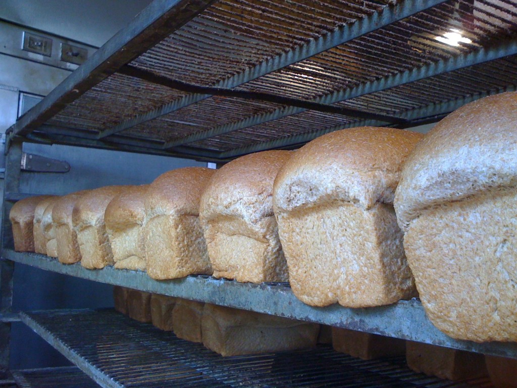 big sky bread loaves of bread cooling at Big Sky Bread Company