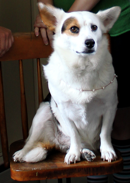Bea modeling our Classic Floating Pearl Necklace with Red Silk