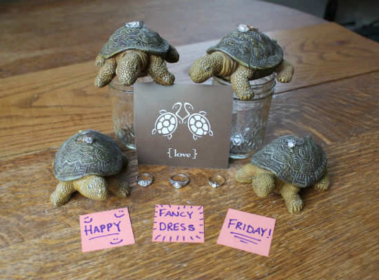 Turtle Love Committee Fancy Dress Friday photo August 31, 2012 Turtle Love Committee Fancy Dress Friday photo August 31, 2012