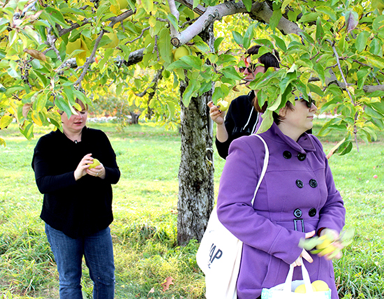 Adrianne, Emily, and Aubin in the apple trees! Adrianne, Emily, and Aubin in the apple trees!