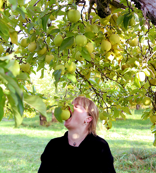 Adrianne picking apples her own way Adrianne picking apples her own way