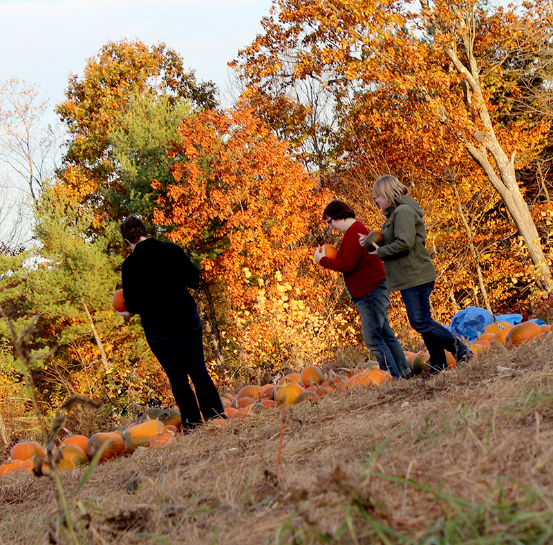 Emily, Aubin, and Adrianne choosing their pumpkins