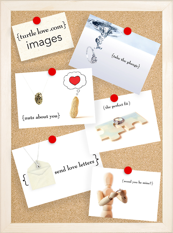 Image Roundup2