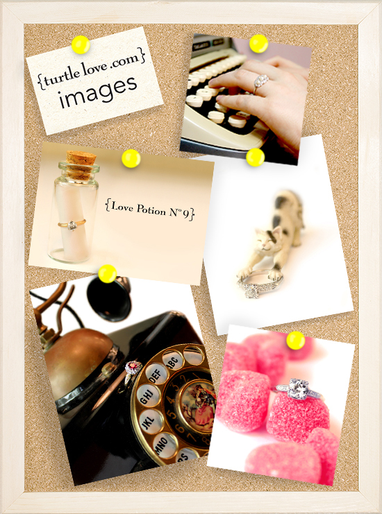 Image RoundUp for Feb 15